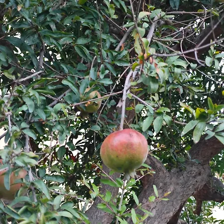 Ad Messinium Apartamento Pompeia
