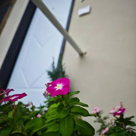 Apartament Ad Messinium Pompeja