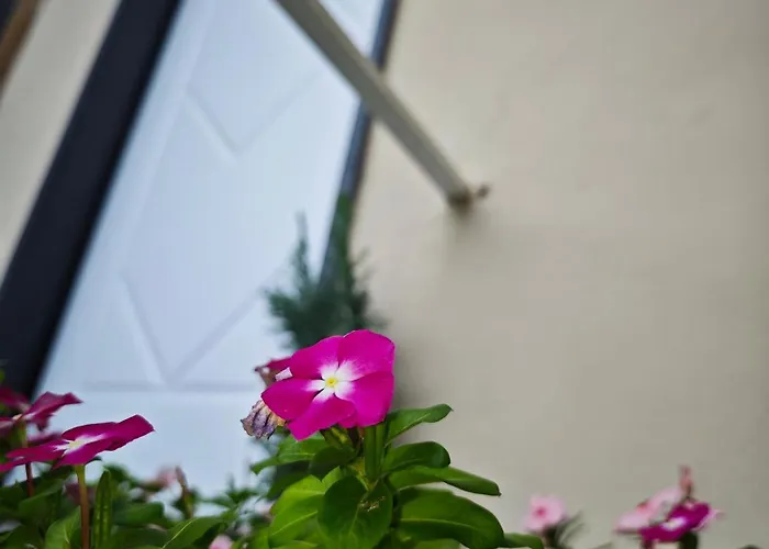 דירה Ad Messinium פומפיי